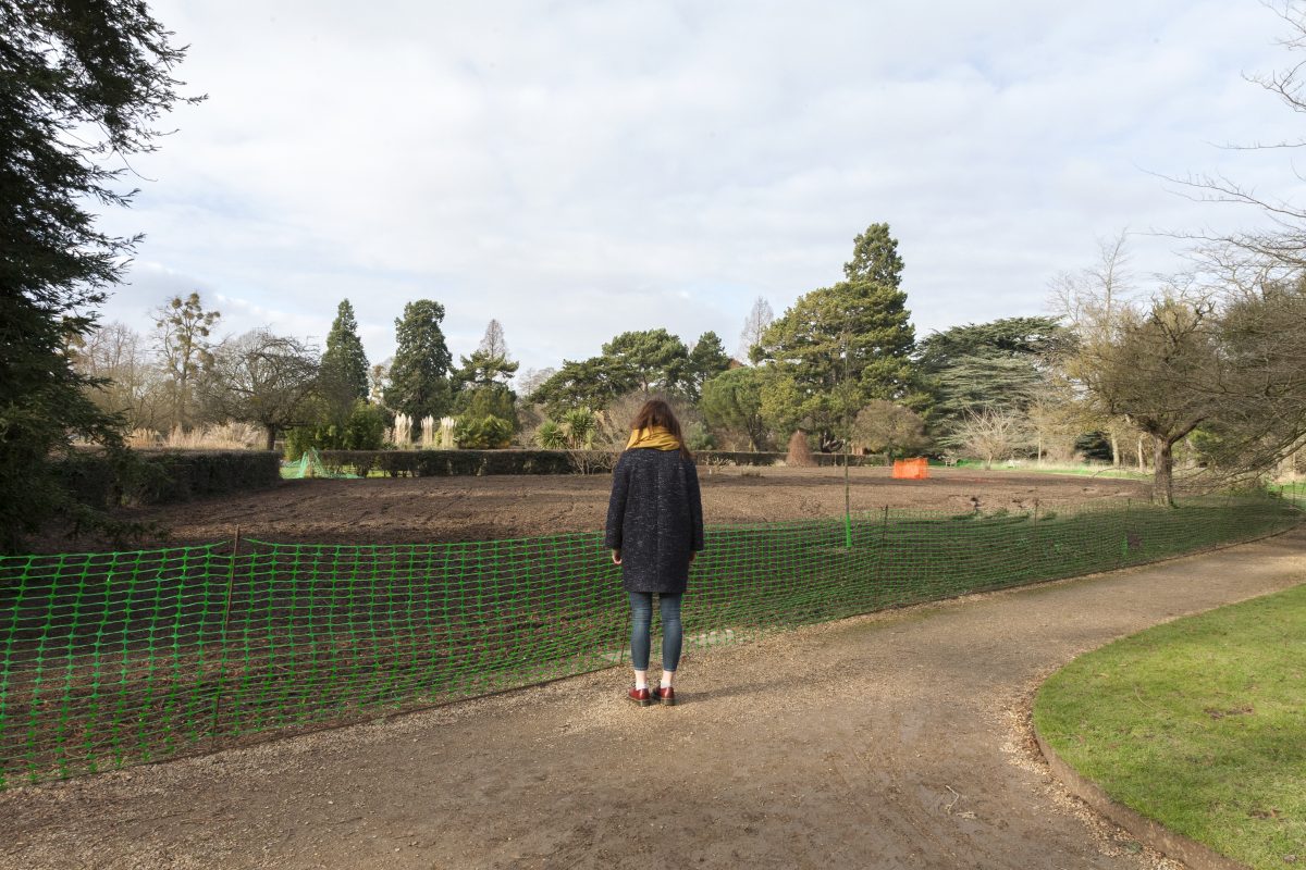 From the series 'The impossibility of presence'